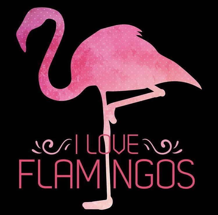 flamant rose